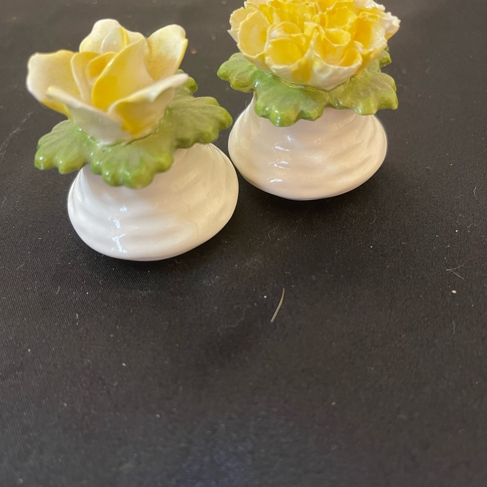 Vintage Ansley Fine China Flowers Salt and Pepper